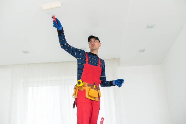 Best Mold Removal for HVAC Installations  in Una, WA