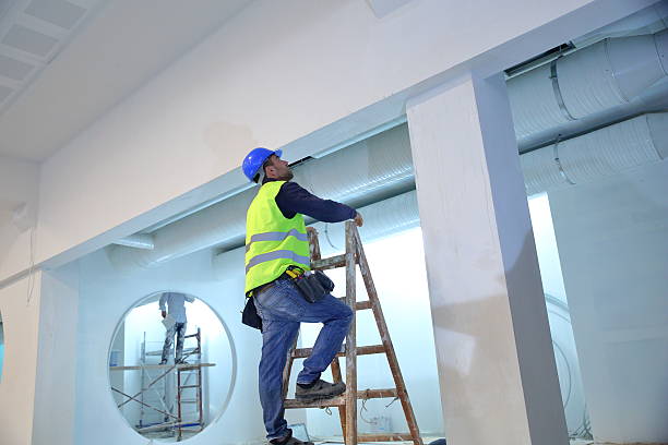 Best Emergency Mold Remediation  in Una, WA